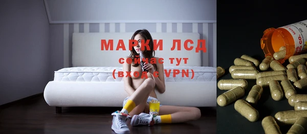 бошки Алексин