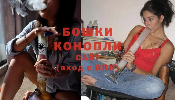 бошки Алексин